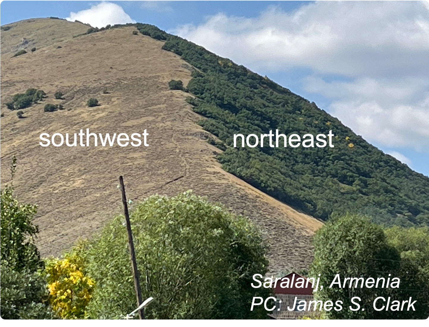 Mountain forest site